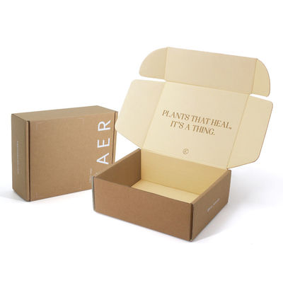 Ecommerce Printing Packaging Box Corrugated Paper Zipper Tear Strip Mailer Box